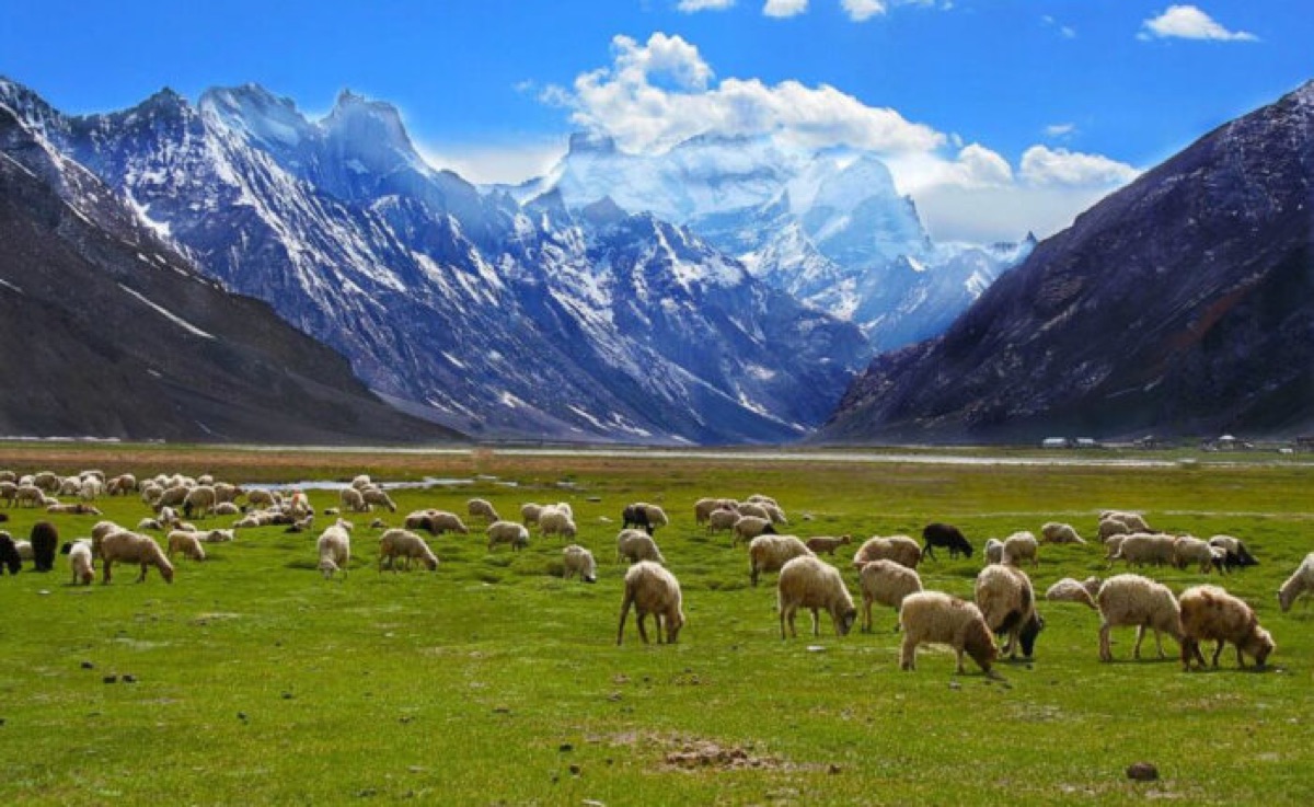 Turtuk, the last village before the border